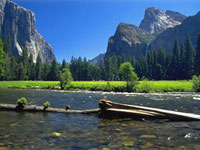 Yosemite National Park