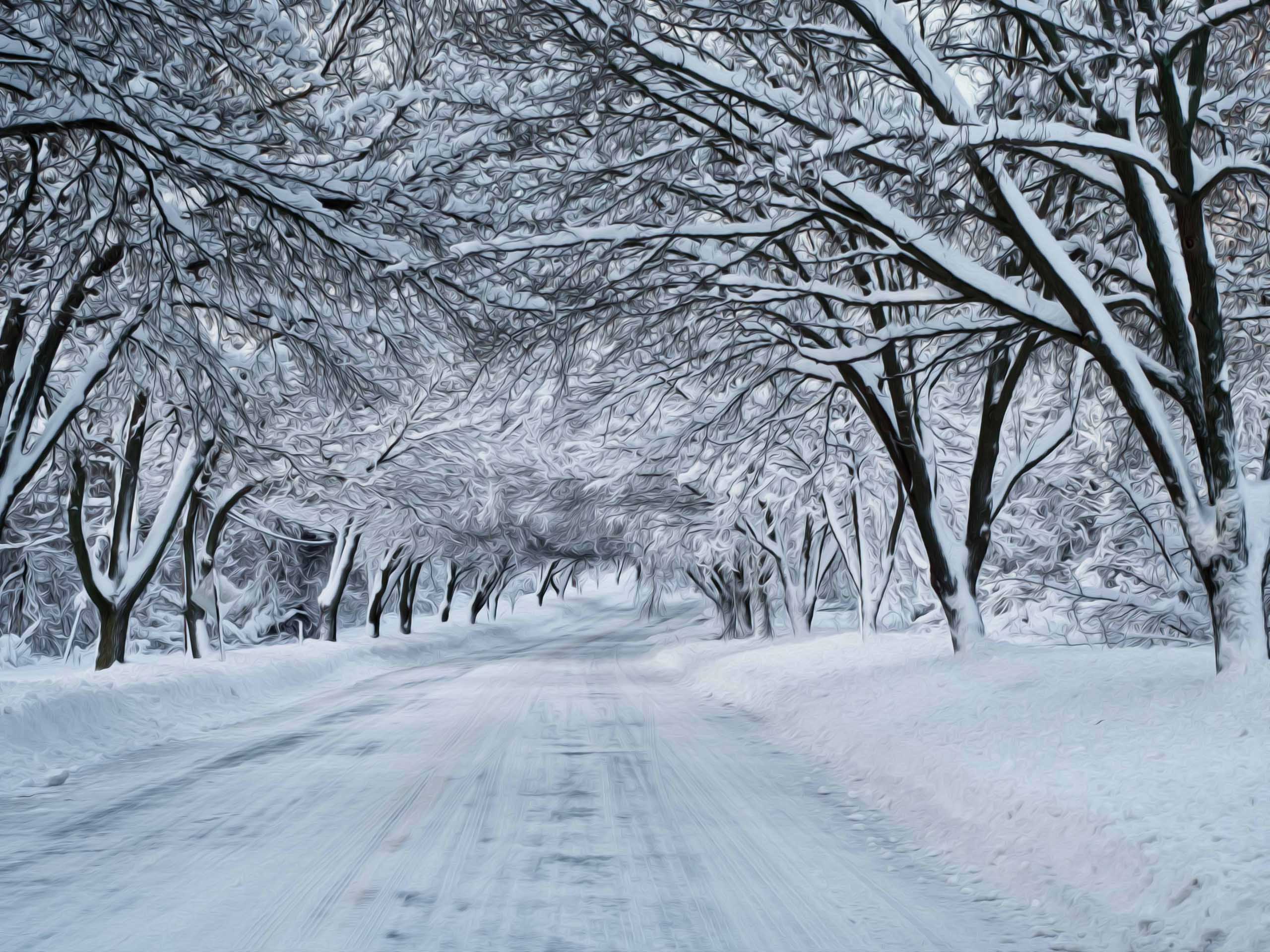 winter snow scene photography wallpaper