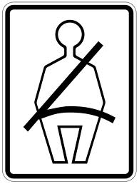 seatbelt