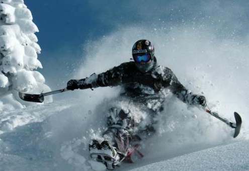 handicap ski equipment