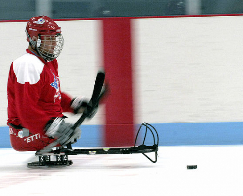 Sledge hockey player