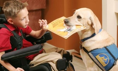 National Mobility Equipment