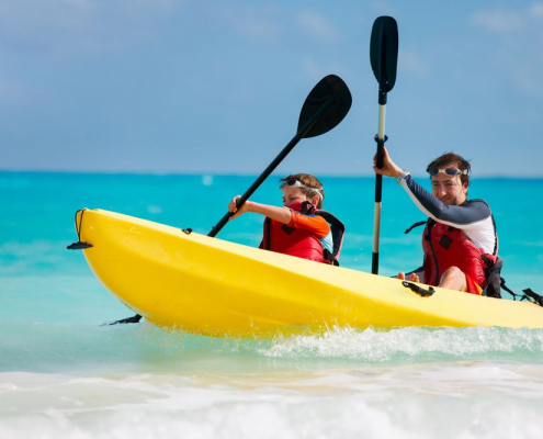 wheelchair carrier for car