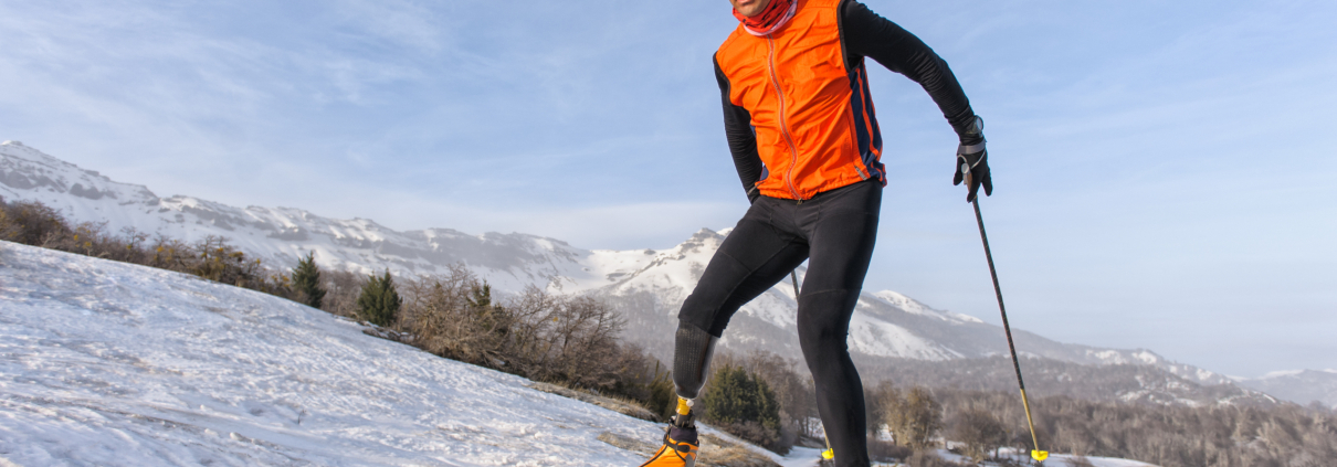 wheelchair carrier for car
