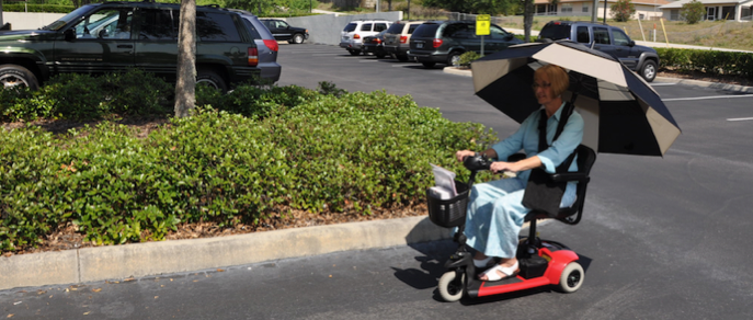 2014 Adpative Holiday Gift Guide