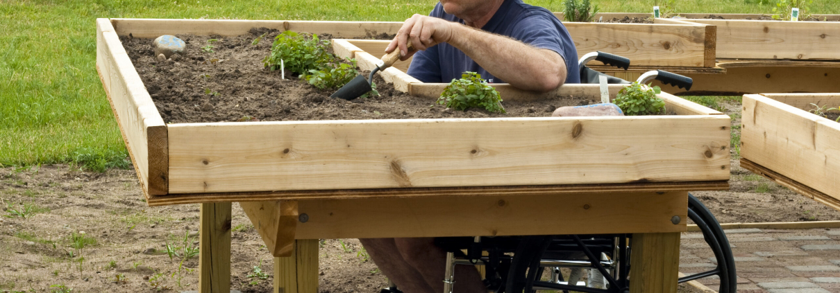 iStock 153495991 wheelchair garden plant scaled 1