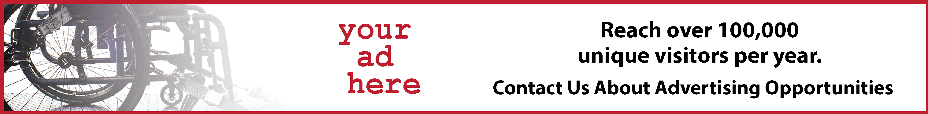 car wheelchair carrier