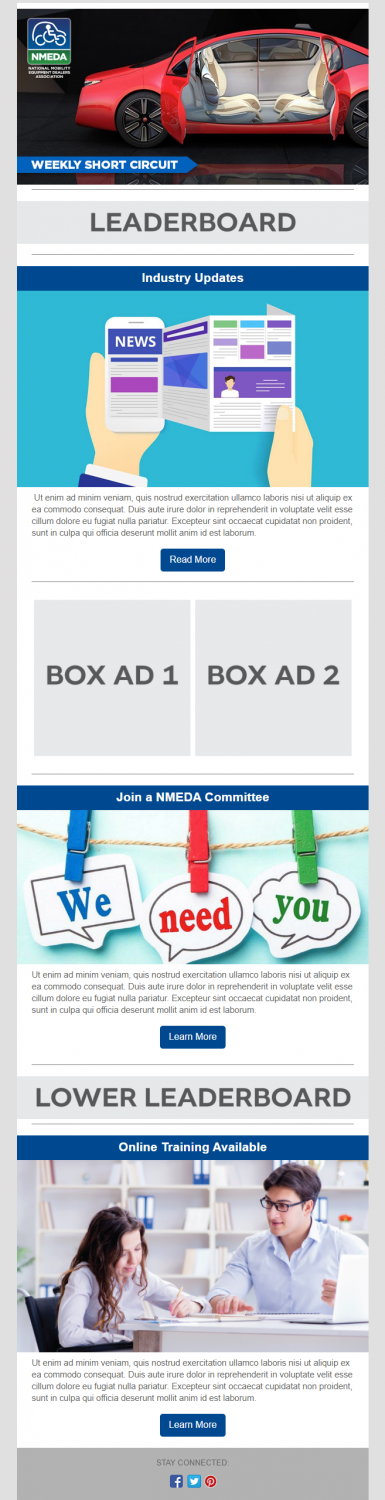 hand controls for car